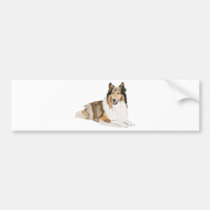 Rough Collie Bumper Sticker