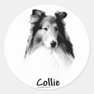 Rough Collie Charcoal Classic Round Sticker