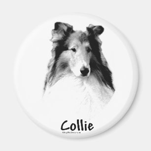 Rough Collie Charcoal Magnet