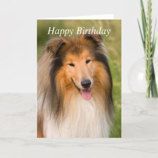 Rough Collie Cards | Zazzle UK