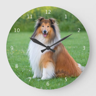 Rough collie dog beautiful photo portrait large clock