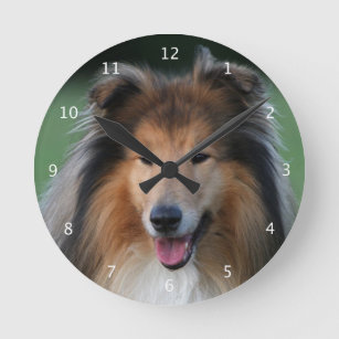 Rough collie dog beautiful photo portrait round clock