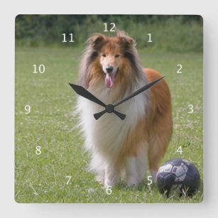 Rough collie dog beautiful photo portrait square wall clock