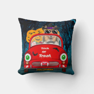 Rough Collie Dog Driving Car Scary Halloween Cushion