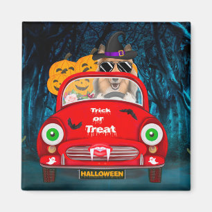 Rough Collie Dog Driving Car Scary Halloween Magnet