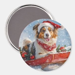 Rough Collie Dog in Sledge Let it Snow Christmas Magnet