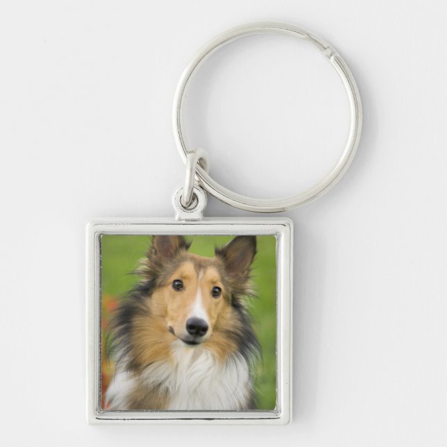 Rough Collie, dog Key Ring (Front)