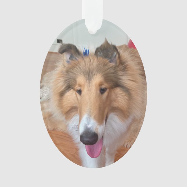 Rough Collie Dog Ornament (Front)