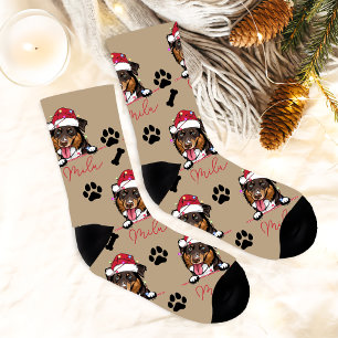 Rough Collie Dog Personalised Christmas Gift Socks