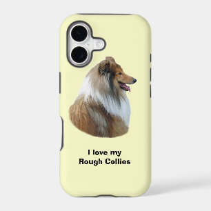 Rough Collie dog portrait photo