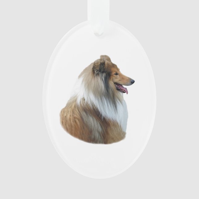 Rough Collie dog portrait photo Ornament (Front)