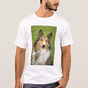 Rough Collie, dog T-Shirt