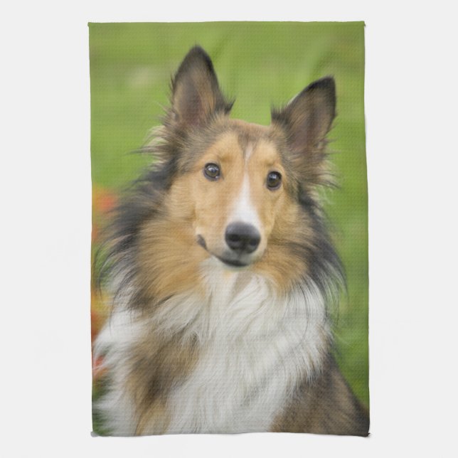 Rough Collie, dog Tea Towel (Vertical)