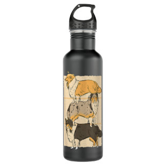 Rough Collie Dogs  710 Ml Water Bottle