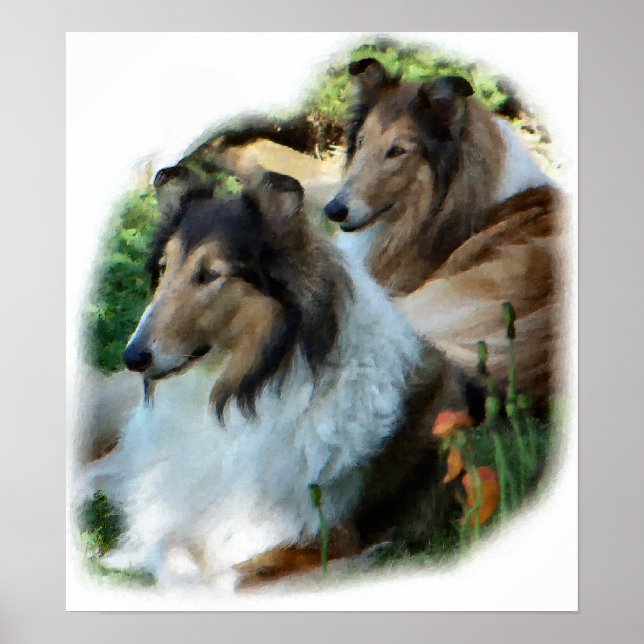 Rough Collie Gift of Art Poster (Front)