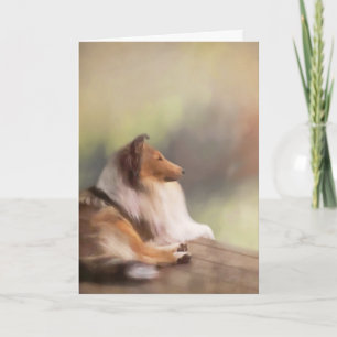 Rough Collie Greeting Card