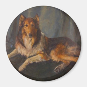 rough collie magnet