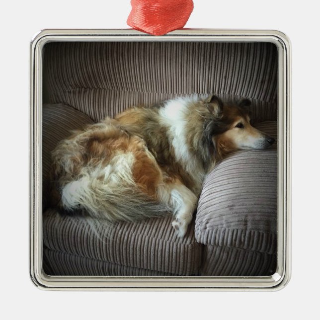 Rough collie on armchair metal tree decoration (Front)