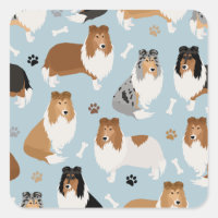 Rough Collie Paws and Bones