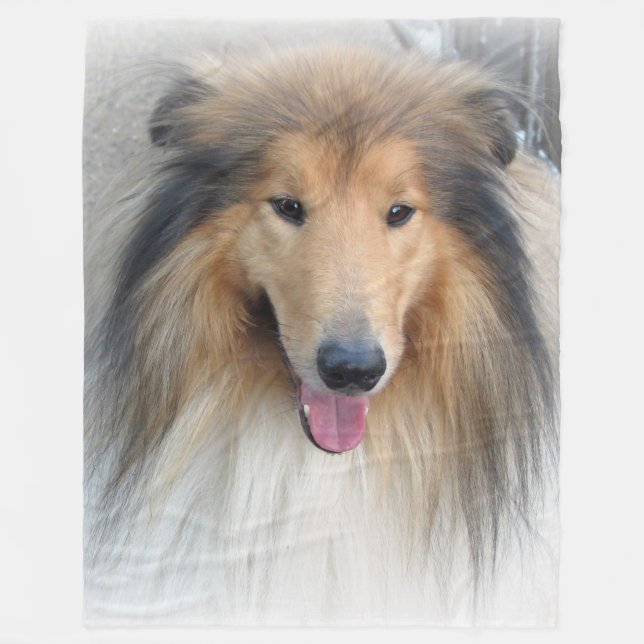 Rough Collie portrait Fleece Blanket (Front)