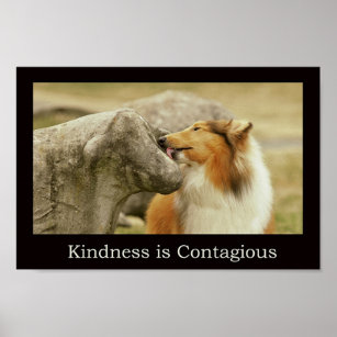 Rough Collie Poster " Kindness is Contagious"