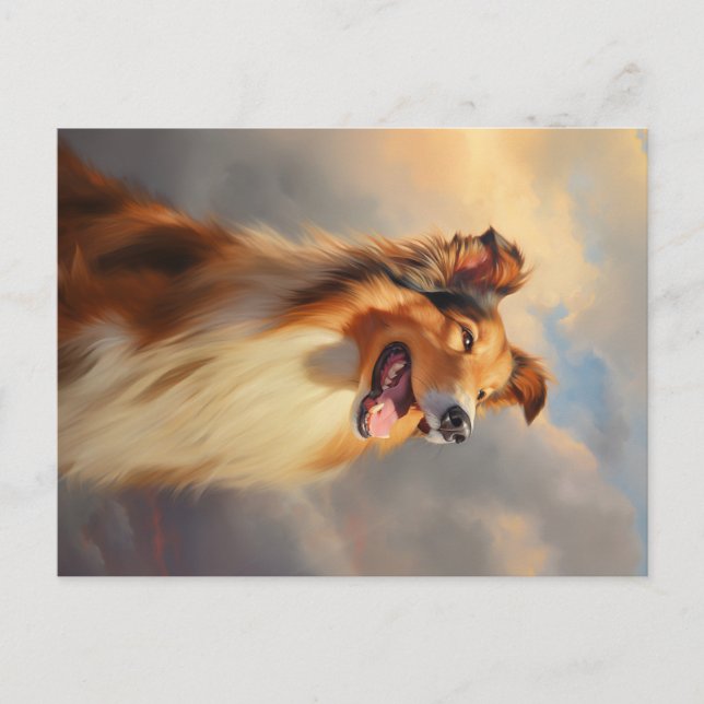 Rough collie / Scottish collie Postcard (Front)