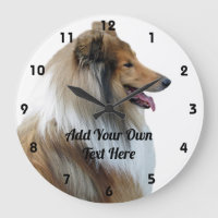 Rough Collie Sheep Dog