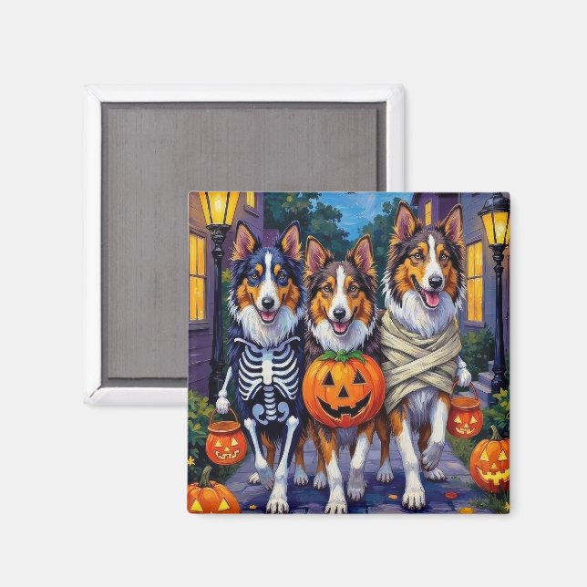 Rough Collie Trick-or-Treating Halloween Costumes Magnet (Front/Back)