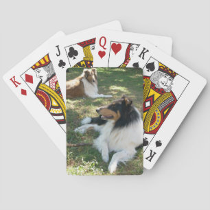 Rough Collies Bicycle Playing Cards