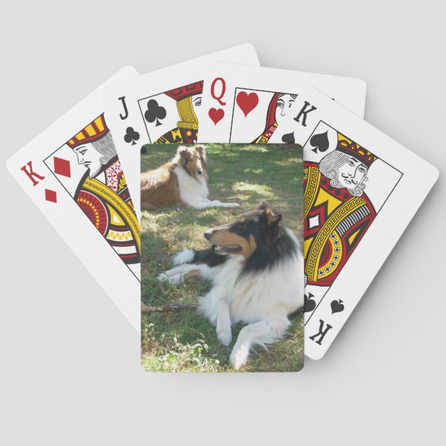 Rough Collies Bicycle Playing Cards (Back)
