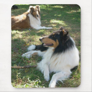 Rough Collies Mouse Mat
