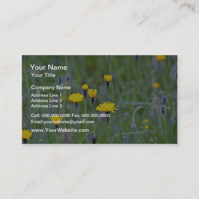 Rough hawkbit (Leontodon Hispidus)  flowers Business Card (Front)