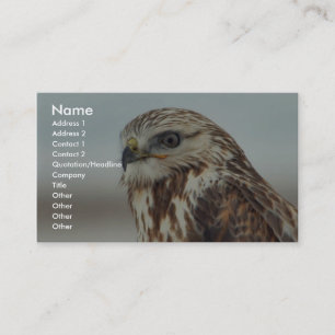 Rough-legged Hawk Business Card