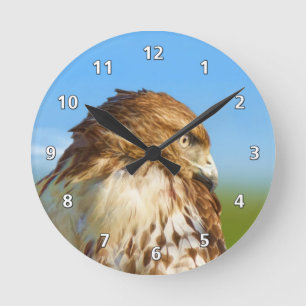 Rough-legged Hawk in Profile Round Clock