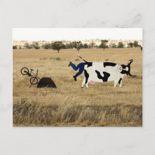 Rough Riding Postcard