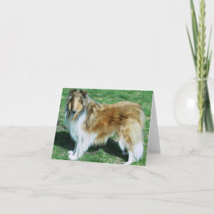 ROUGH SABLE COLLIE CARD