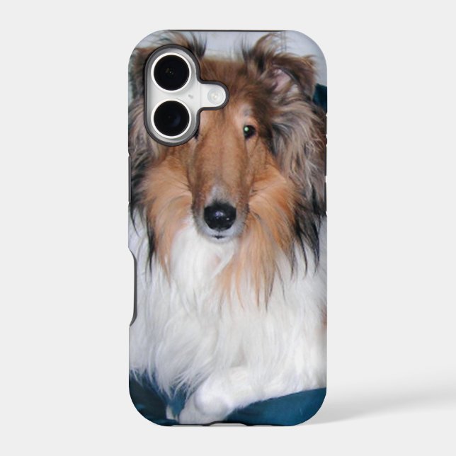Rough Sable Collie iPhone 5 Case (Back)
