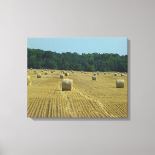 Round Bales Canvas Print