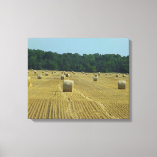 Round Bales Canvas Print