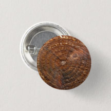 Round Button with wood pattern. Cross section tree