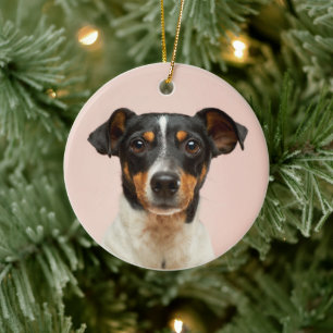 Round ceramic pet memorial hanging disc tree decoration