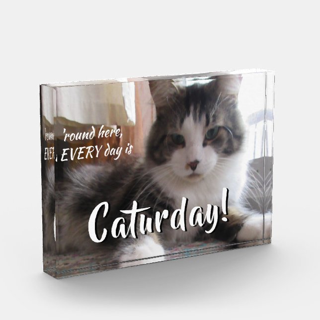 Round Here Every Day is Caturday Cute Cat Template Photo Block (Left)