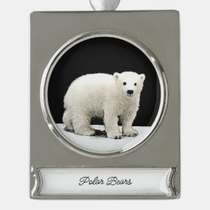 round-large silver plated banner ornament