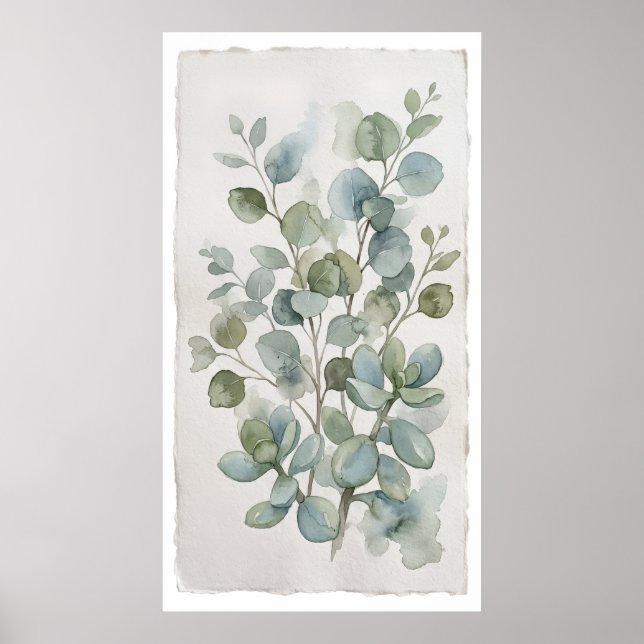 Round Leaf Eucalyptus Watercolour Poster (Front)
