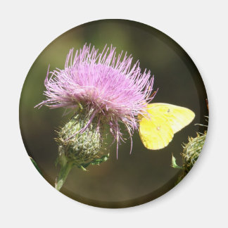 Round Magnet