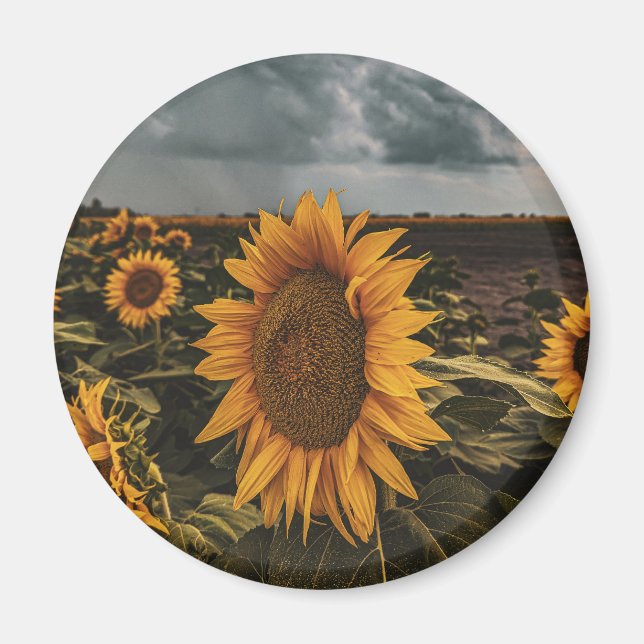 Round Magnet (Front)