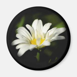 Round Magnet Template