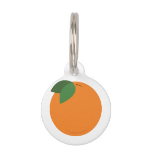 Round Orange Pet Tag