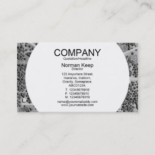 Round Panel - Circleville Business Card