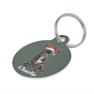 Round Pet Tag